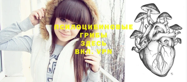 соль ск Волоколамск