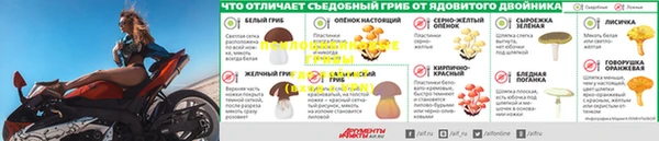 тгк Володарск