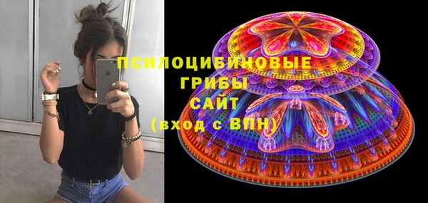 тгк Володарск