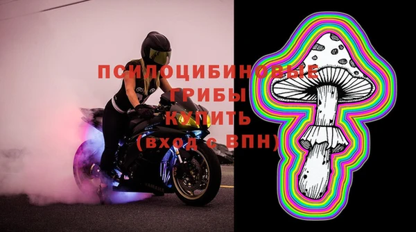 тгк Володарск