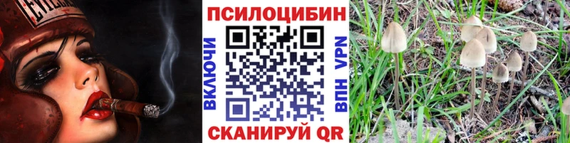 Галлюциногенные грибы Psilocybine cubensis Переславль-Залесский